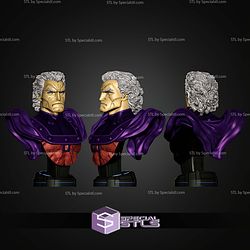 Campbells Magneto Bust STL Files