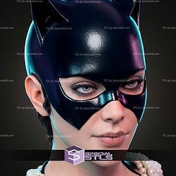 Catwoman And Her Cat Diorama 385mm STL Files