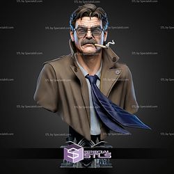 Commissioner Gordon Portrait Bust 383mm STL Files