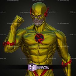 Flash And Reverse Flash 1 6 STL Files