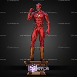 Flash And Reverse Flash 1 6 STL Files