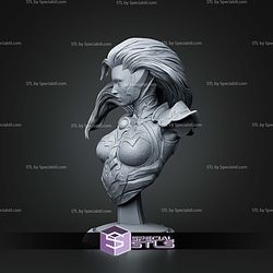 Fury Darksiders Bust 138mm STL Files