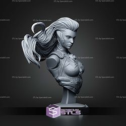 Fury Darksiders Bust 138mm STL Files