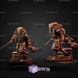 Great Shinobi Owl Sekiro Shadows Die Twice STL Files