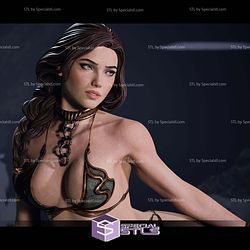Princess Leia Attractive STL Files