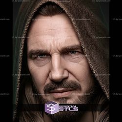 Qui Gon Jinn Portrait Bust 402mm STL Files