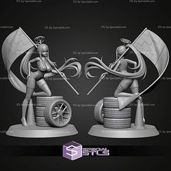 Racing Rio Blue Archive STL Files