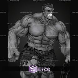 Red Hulk With Captain Shield STL Files