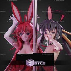 Rias And Akeno Highschool DXD ALT STL Files