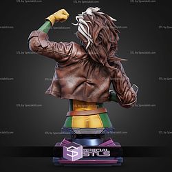 Rogue Portrait Bust 270mm STL Files