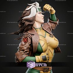 Rogue Portrait Bust 270mm STL Files