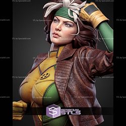Rogue Portrait Bust 270mm STL Files