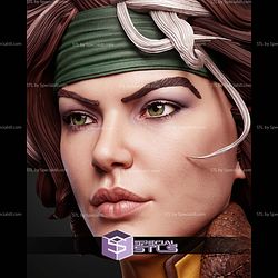 Rogue Portrait Bust 270mm STL Files