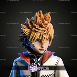 Roxas Kingdom Hearts Stand Pose 275mm STL Files