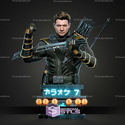 Clint Barton Ronin Portrait Bust 312mm STL Files