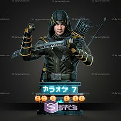 Clint Barton Ronin Portrait Bust 312mm STL Files