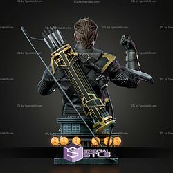 Clint Barton Ronin Portrait Bust 312mm STL Files