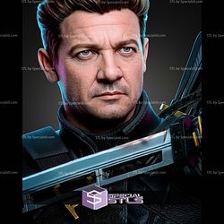 Clint Barton Ronin Portrait Bust 312mm STL Files