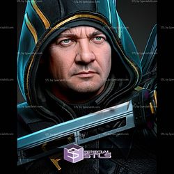 Clint Barton Ronin Portrait Bust 312mm STL Files