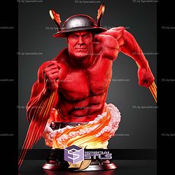 Flash Kingdom Come Portrait Bust 300mm STL Files