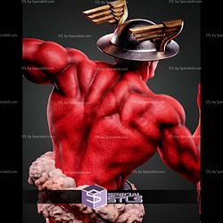 Flash Kingdom Come Portrait Bust 300mm STL Files