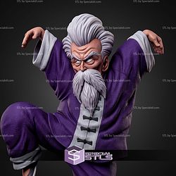 Jackie Chun Dynamic Kungfu STL Files