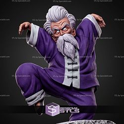 Jackie Chun Dynamic Kungfu STL Files