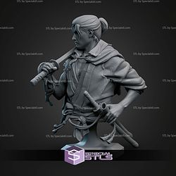 Musashi Onimusha Way Of The Sword Bust 108mm STL Files