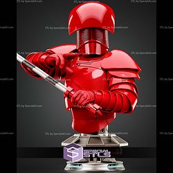Praetorian Guard Portrait Bust 285mm STL Files