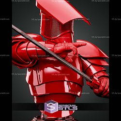 Praetorian Guard Portrait Bust 285mm STL Files