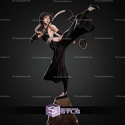 Soifon Bleach Kick Pose STL Files