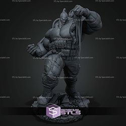 Bane Absolute With Batman 532mm STL Files