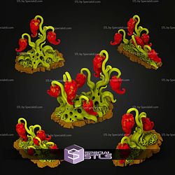 July 2026 Fantastic Plants and Rocks Miniatures