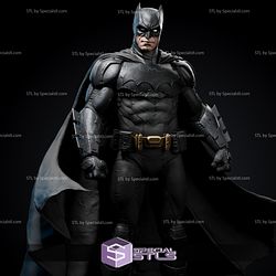 Batman Standing from DC