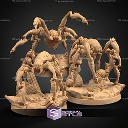 August 2026 Dungeon Classics Miniatures