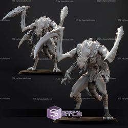August 2026 One Page Rules Miniatures