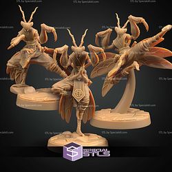 August 2026 The Dragon Trappers Lodge Miniatures