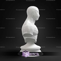 Spiderman Animated Bust 3D Print Files