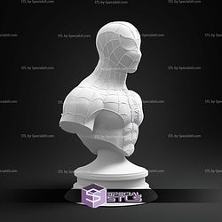 Spiderman Animated Bust 3D Print Files