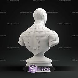 Spiderman Animated Bust 3D Print Files