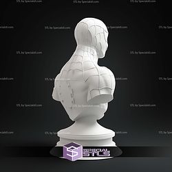 Spiderman Animated Bust 3D Print Files