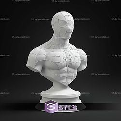 Spiderman Animated Bust 3D Print Files
