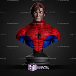 Spiderman Animated Bust 3D Print Files