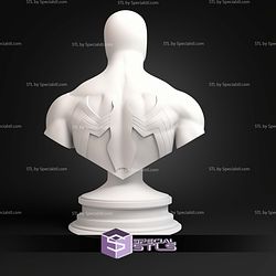 Spiderman Black Animated Bust STL Files