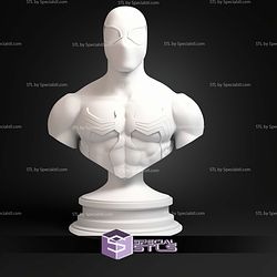 Spiderman Black Animated Bust STL Files