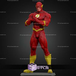 The Flash Museum Various STL Files