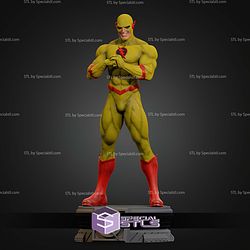 The Flash Museum Various STL Files