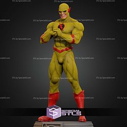 The Flash Museum Various STL Files