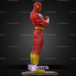 The Flash Museum Various STL Files