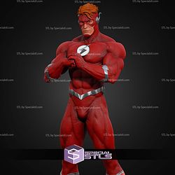 The Flash Museum Various STL Files